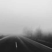 cod galben ceata jpeg