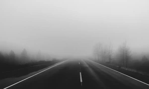 cod galben ceata jpeg