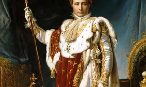 napoleon foto profimedia