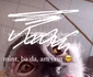 A treia postare din seria de ridiculizări aduse fanilor FOTO CAPTURĂ FOTO INSTAGRAM @sanziananegru