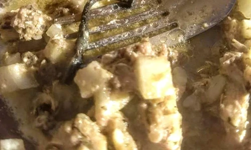 1 85358 original jpg jpeg