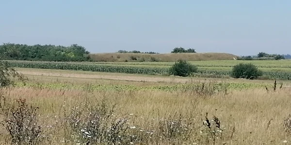 cetatea stancesti