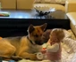 IMG 1283 jpeg