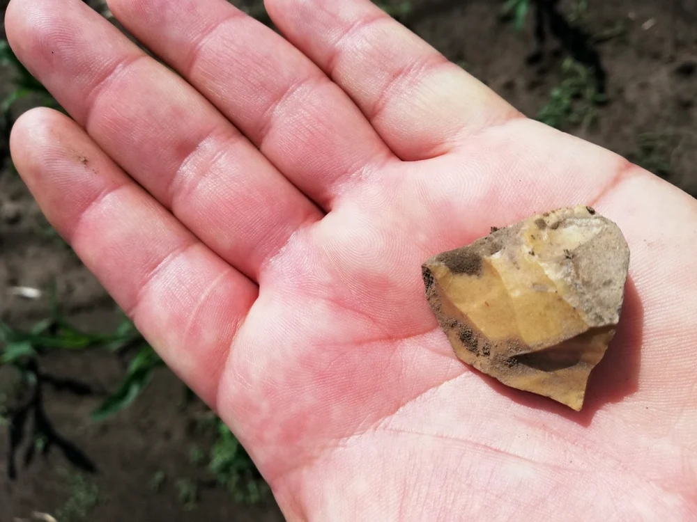 Descoperiri arheologice la Vişina, Dâmboviţa FOTO: Arheologie medievală în Târgovişte / Facebook