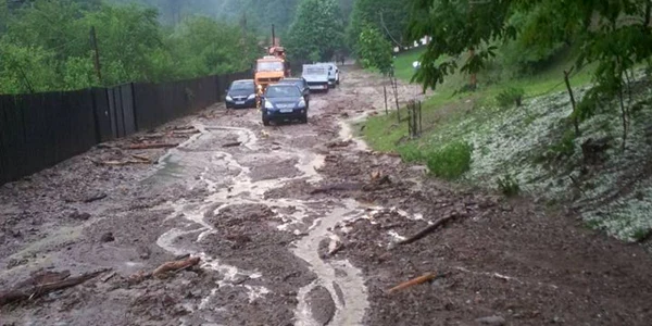 furtuna alba cugir