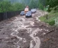 furtuna alba cugir