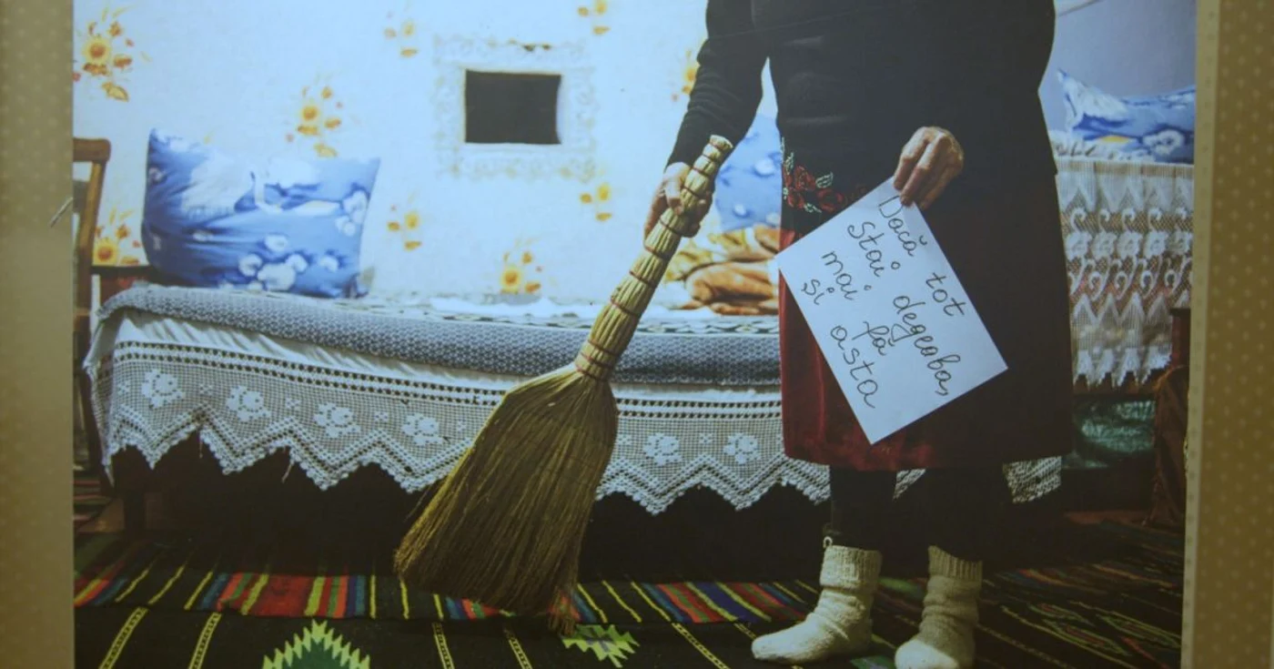 Imagini expuse la conferinţa de finalizare a proiectului. FOTO Adevărul