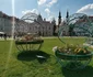 Timișoara, orașul florilor FOTO Ștefan Both