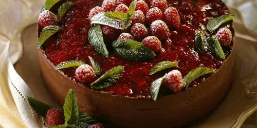 tort de ciocolata cu zmeura si blat de piscoturi