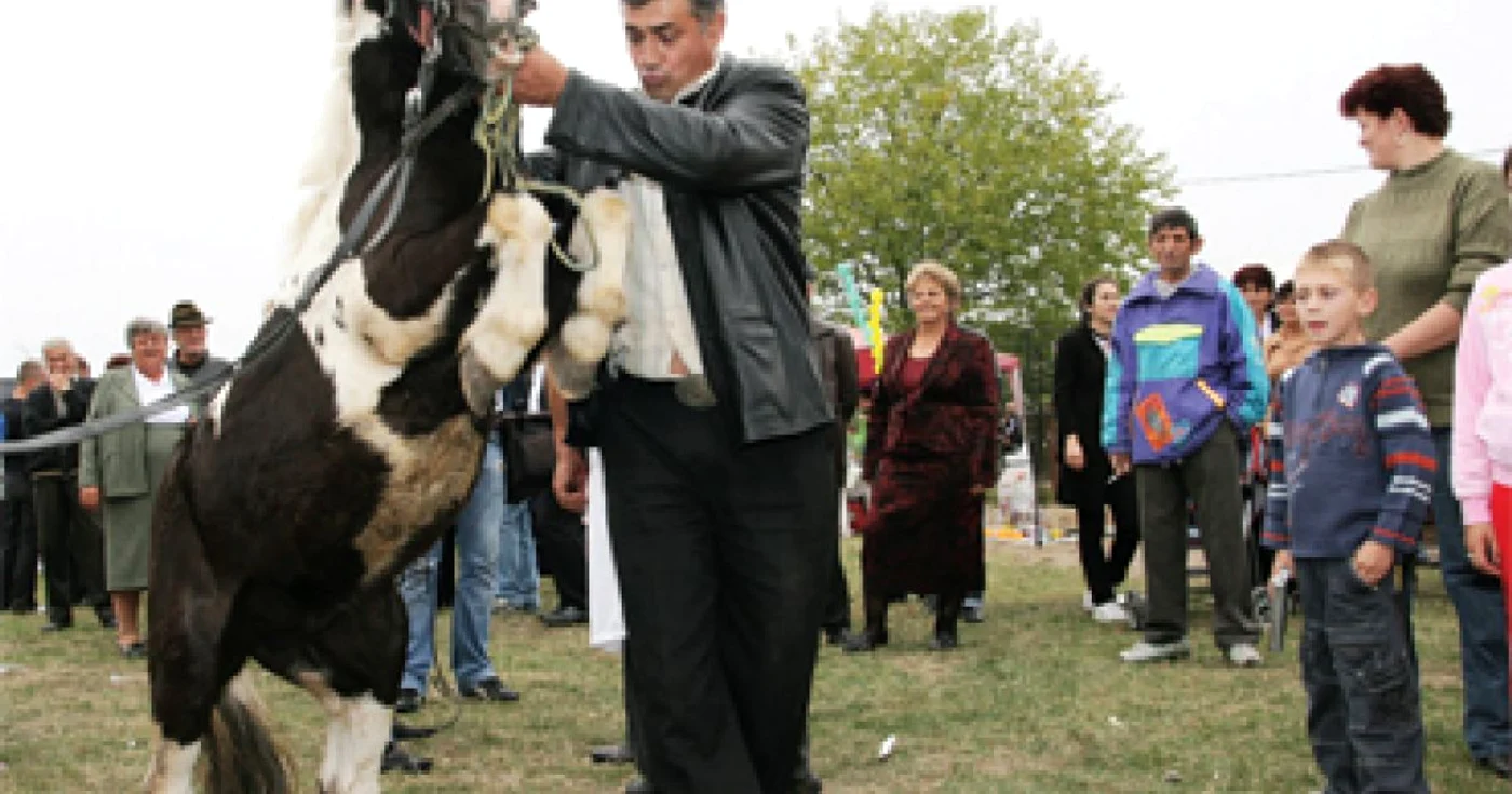 Parada cailor de Zilele Turcineştiului