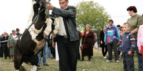 Parada cailor de Zilele Turcineştiului