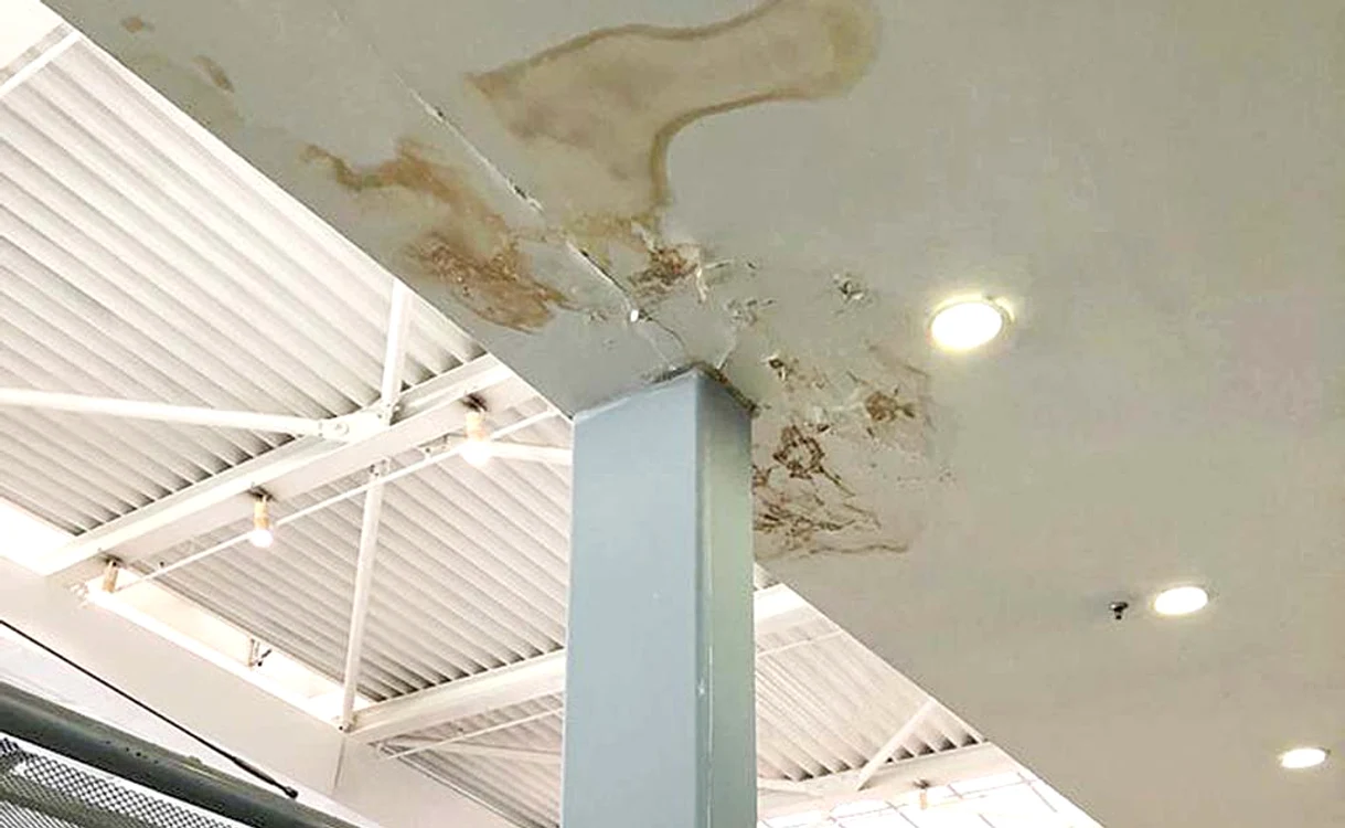 
    Tavanul de la Sosiri este plin de mucegaiFoto: ministerul transporturilor  