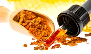 Propolis miere albine FOTO Shutterstock jpg