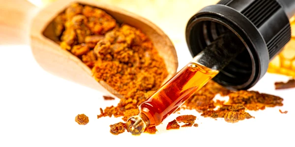 Propolis miere albine FOTO Shutterstock jpg
