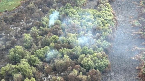 incendiu delta 2 foto ISU tulcea jpg