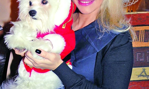 1 47110 original jpg jpeg