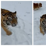 BeFunky collage (29) jpg