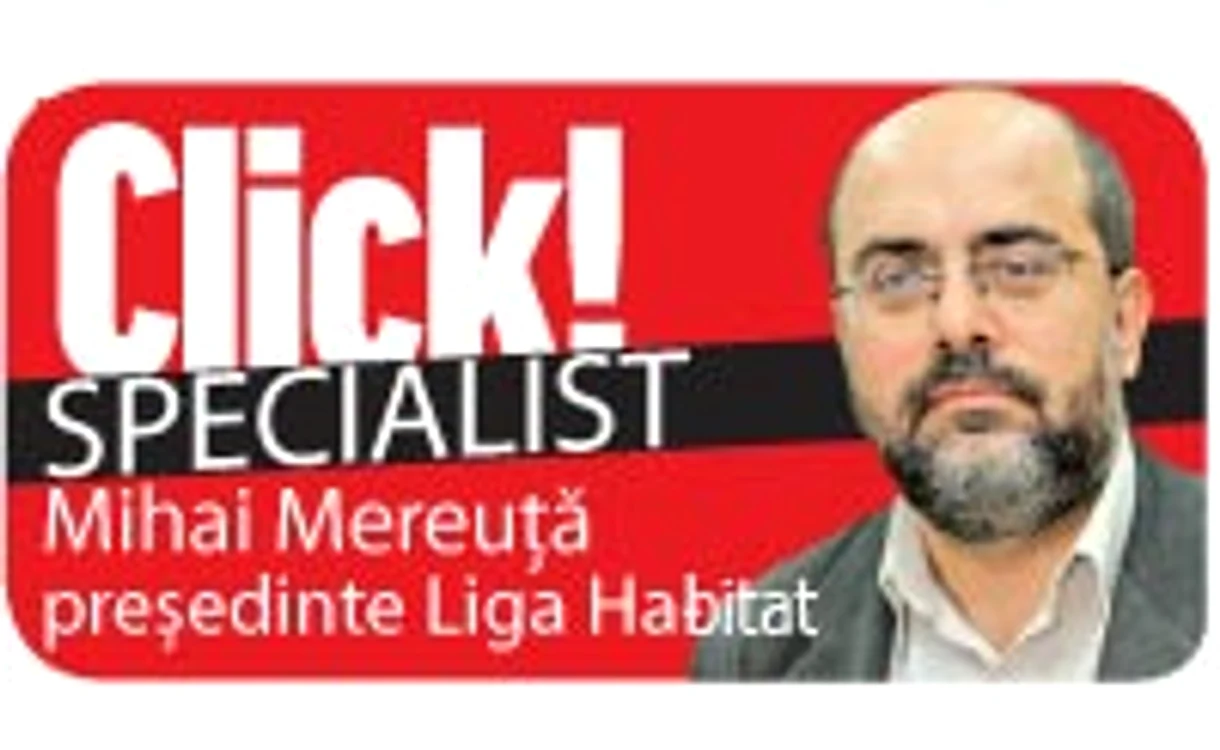 Mihai Mereuţă
