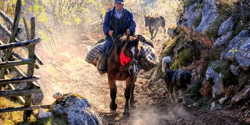 fundatura ponorului foto claudiu nelega