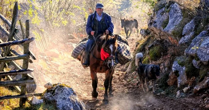 Fundătura Ponorului. Foto: Claudiu Nelega.  2