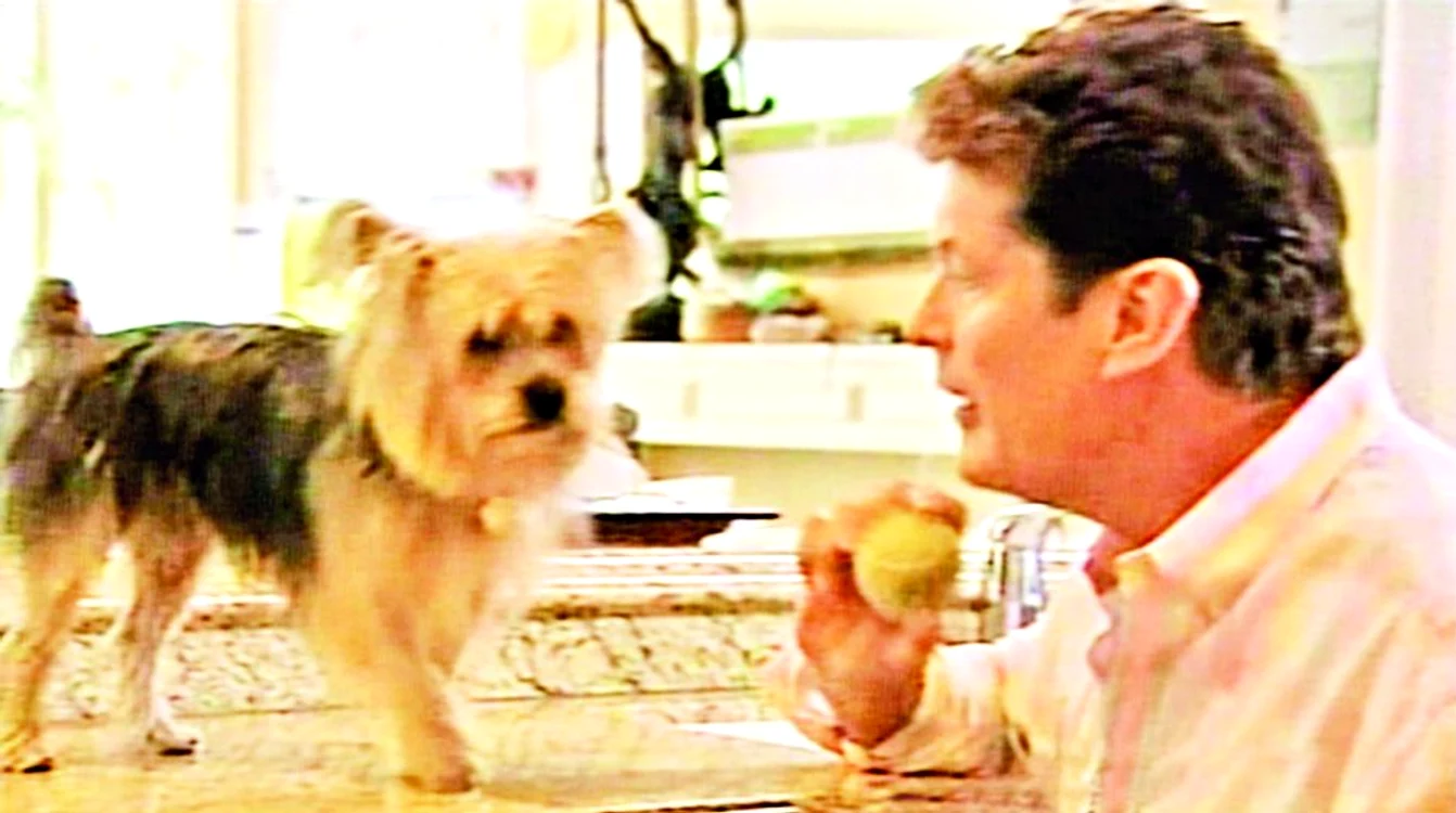 Hasselhoff a pus piper  pe mingi şi i-a interzis lui  Pooch să se mai apropie