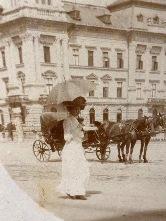 Foto: Muzeul Național al Banatului