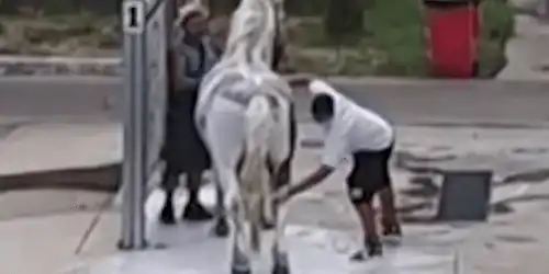cal wash gif