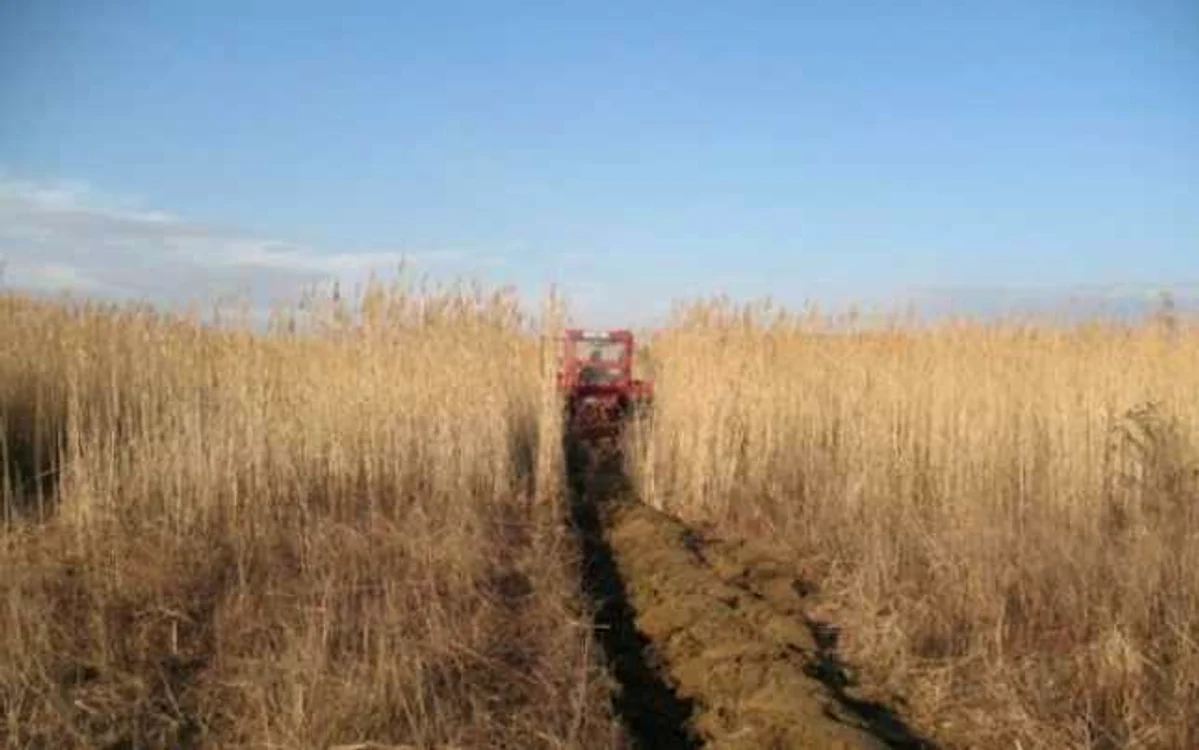 Lipsa infrastructurii de irigare şi slaba tenhologizare au adus agricultura la sapă ded lemn