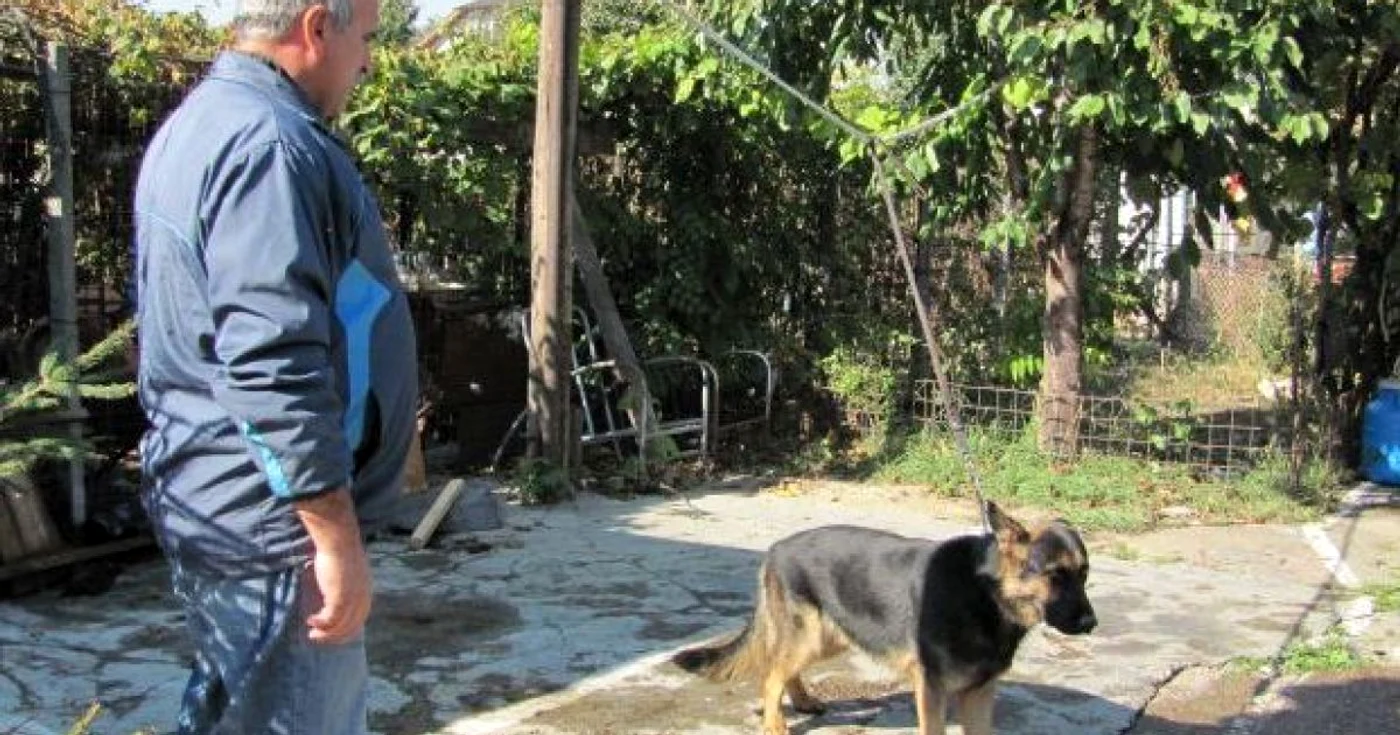 Nim n-a fost un câine poliţist grozav, dar dresorii lui spun că poate fi un bun animal de companie 