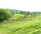 Meisoare Pucheni