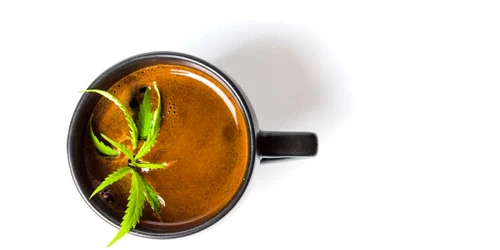 cafea cannabis