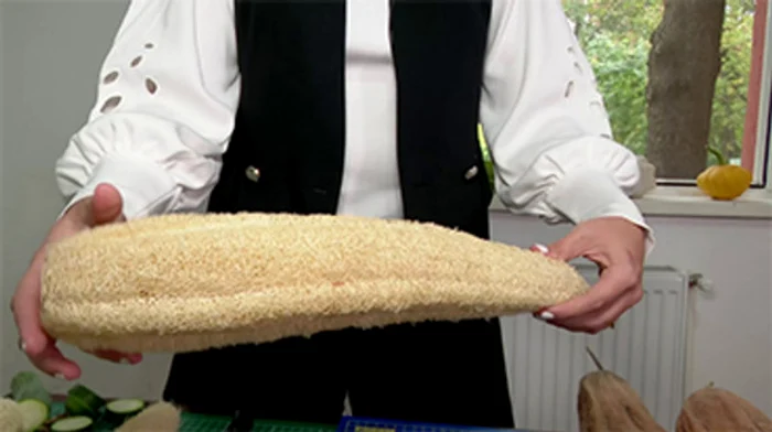 
    La maturizare devine bureteFOTO: Iulian Bufnilă/ Adevarul  