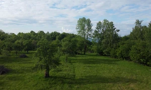 Comuna Bătrâna, loc splendid din Munții Poiana Ruscă mp4 thumbnail png