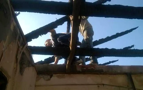 Ce a rămas în urma tragediei de la adăpostul de câini Danyflor