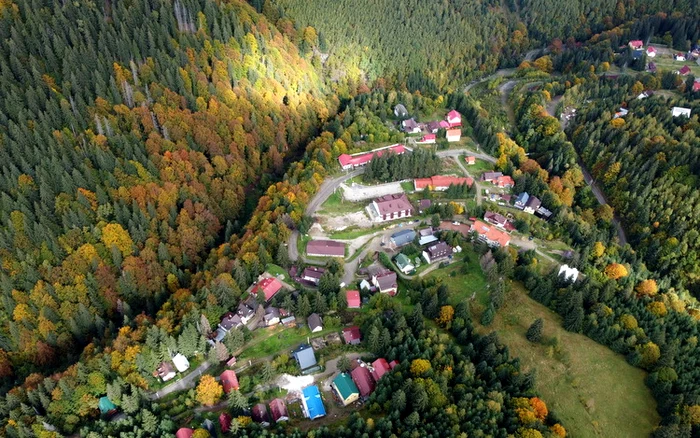 Râușor. Foto: Daniel Guță