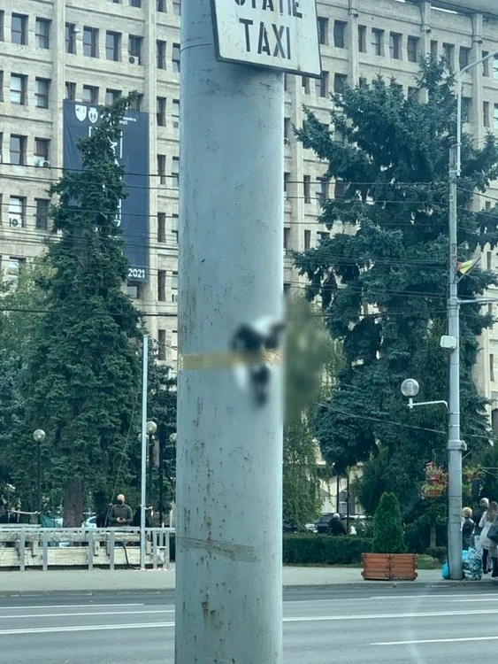 Porumbelul ucis a fost lipit cu scoci de un stâlp, în centrul PloieștiuluiFoto: republikanews.ro