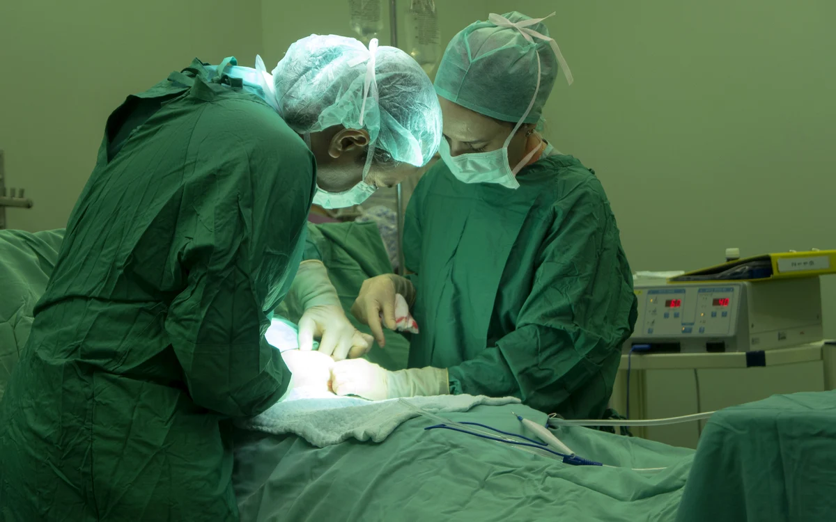 Record medical în SUA: un rinichi de porc a funcționat 271 de zile în corpul unui pacient