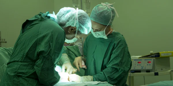 Transplant de organe  Foto Freepik jpg