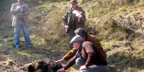 Mugurel Grosaru i-a cântat animalului