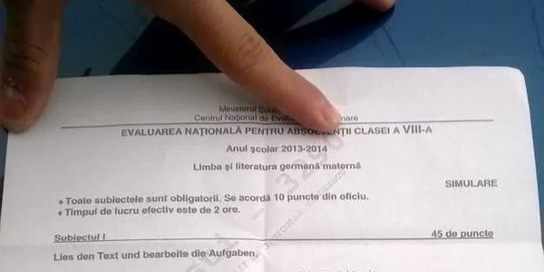 subiecte evaluare nationala limba materna