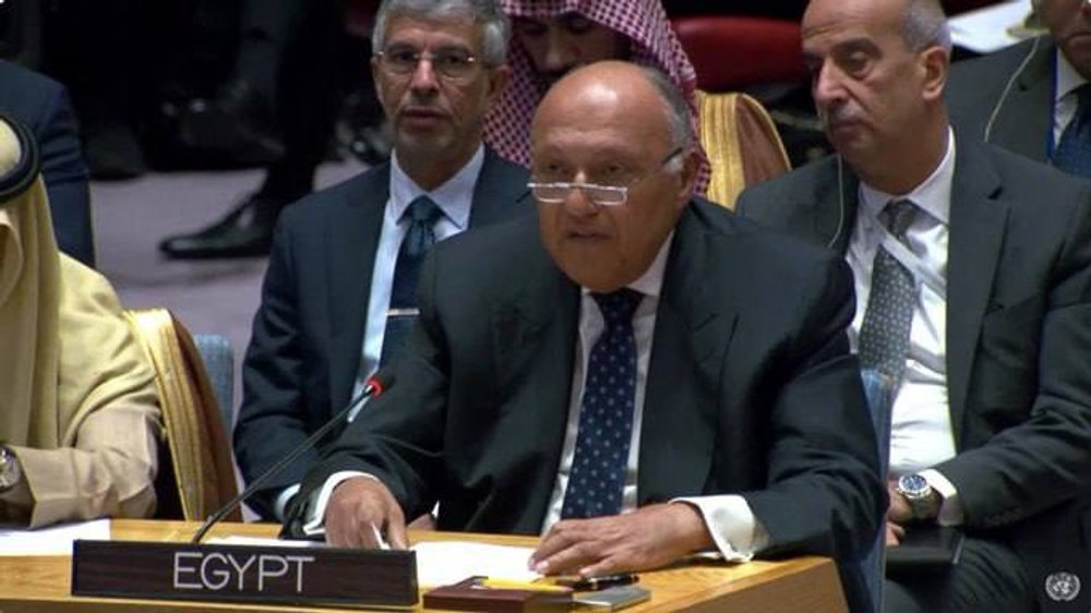 Ministrul de externe egiptean spune că palestinienii trebuie să determine viitorul Gazei