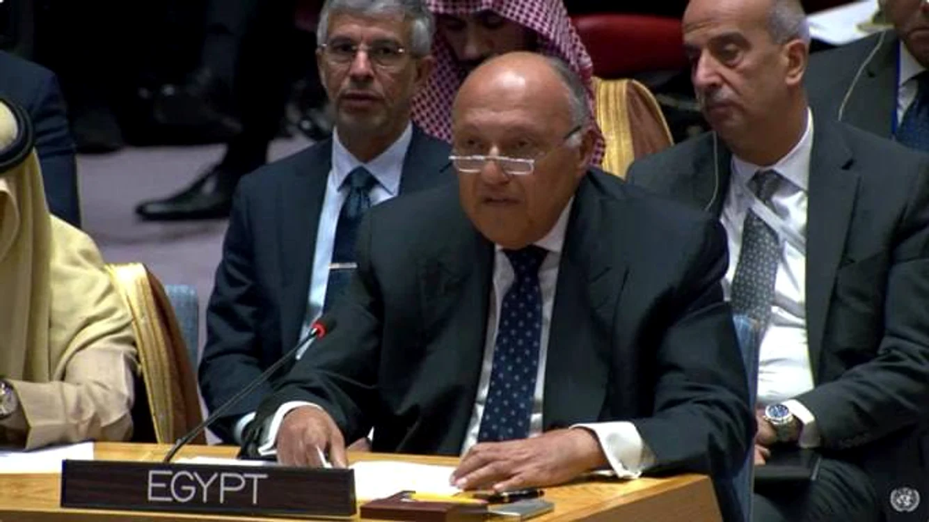 Sameh Shoukry. ministrul de externe egiptean