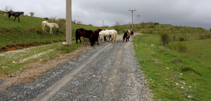 Drumul Judeţean 687 J, la Cerbăl. ADEVĂRUL.