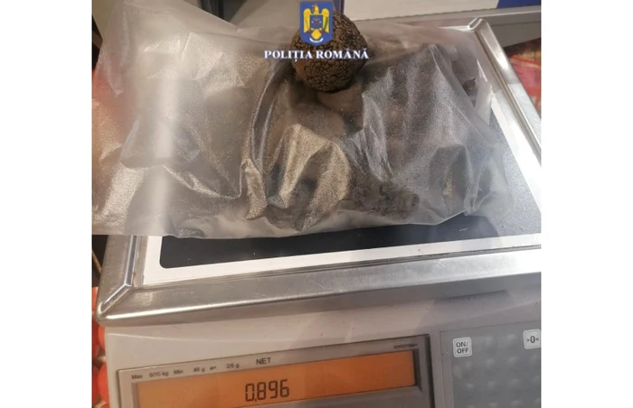 Trufele se culeg doar cu autorizații de la Romsilva FOTO Poliția Română