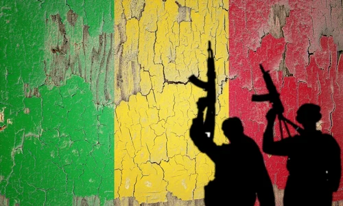 steagul Mali pe un perete crăpat FOTO shutterstock jpg