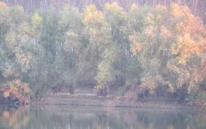 Vreme rece şi vânt nervos Foto:I.S.
