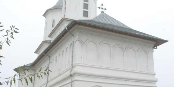 calarasi frunzanesti
