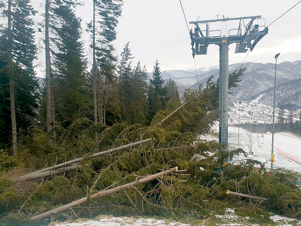 Arbori imenşi au fost doborâţi  peste instalaţiile pârtiei  Kalinderu, devenită impracticabilă 