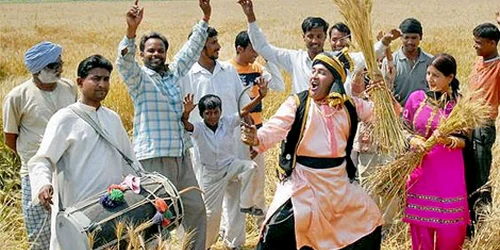 Festivalul Baisakhi este celebrat în Punjab în mijlocul câmpului