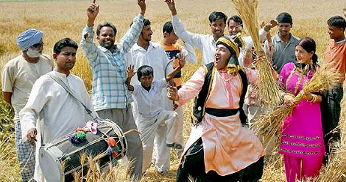 Festivalul Baisakhi este celebrat în Punjab în mijlocul câmpului